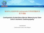 [EuroPCR2009]缺血性心肌病中的Cardiopoietic引导的骨髓间充质干细胞